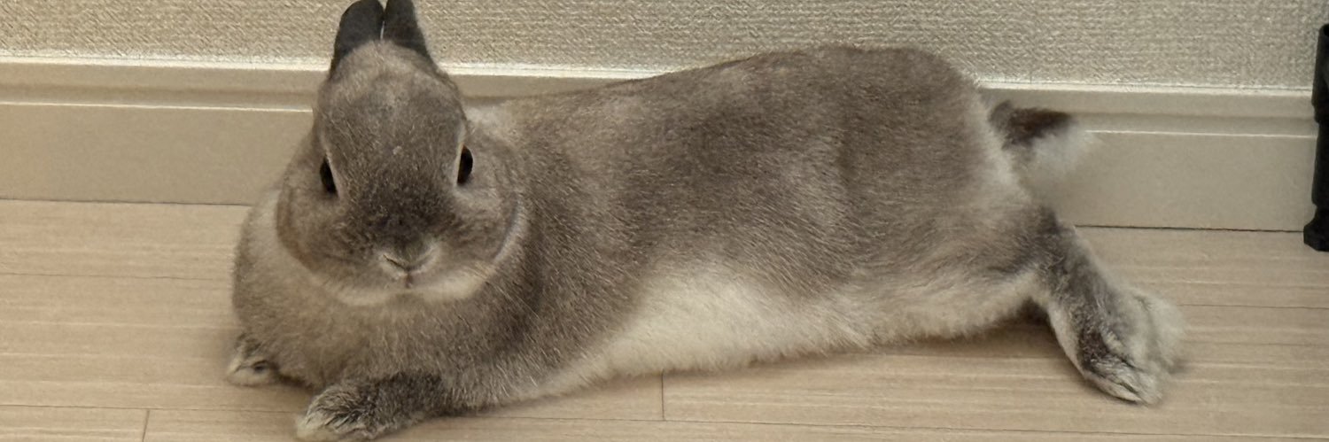 うさまめたいむ's banner