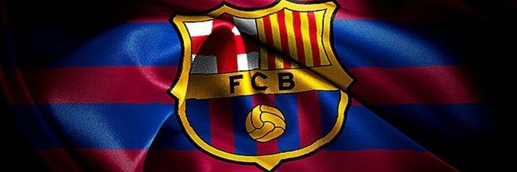 Pedrinho10's banner