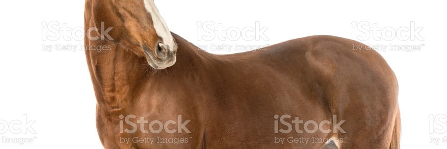 Tomoe Umari 🇺🇸🐴's banner