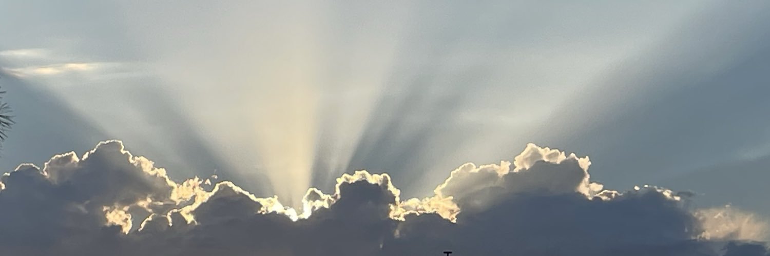 NauralBeautyZ's banner