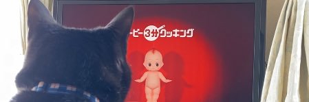 ✺うに✺'s banner
