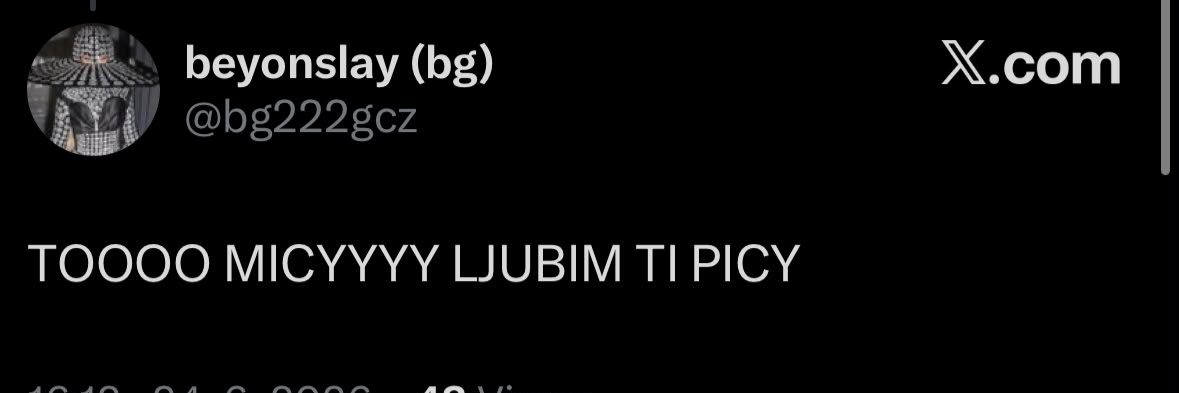 KUČKETINA MELONI🐺's banner