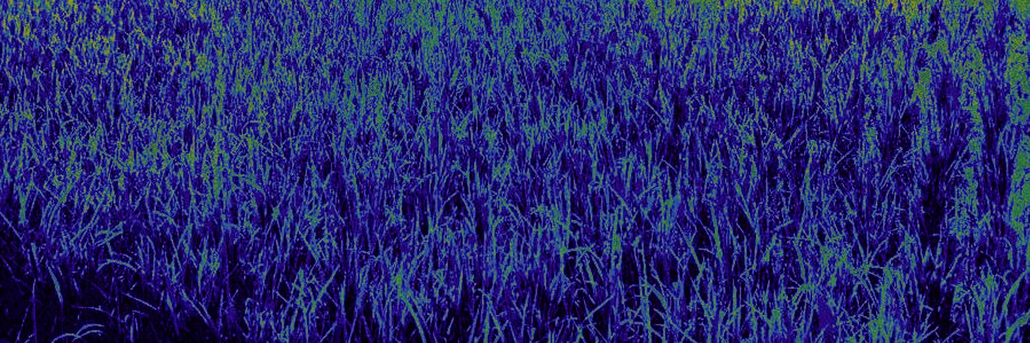 ItaKondr3200's banner
