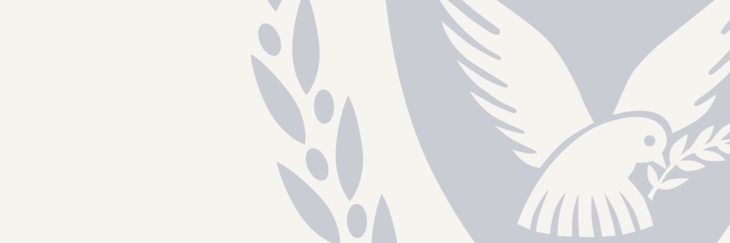 Cyprus MFA's banner