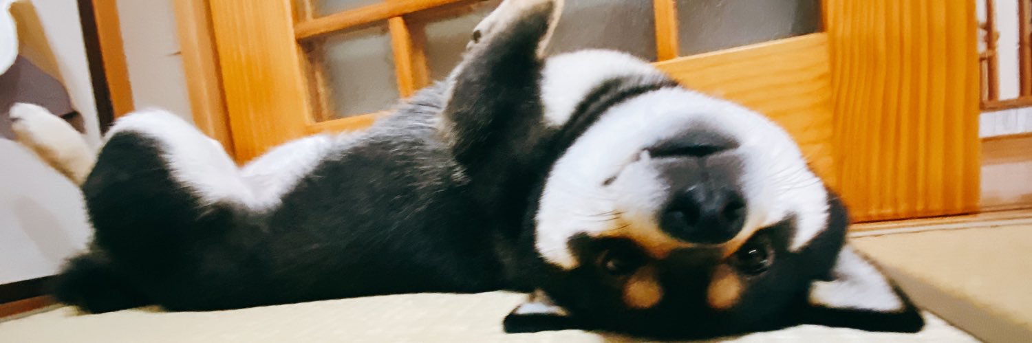 🐕ぽちゃこつ7.18🐕's banner