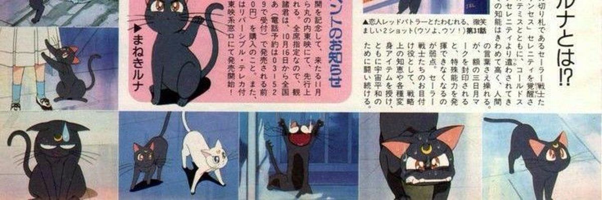 𝔤𝔦 ✧*̣̩⋆̩☽⋆゜'s banner