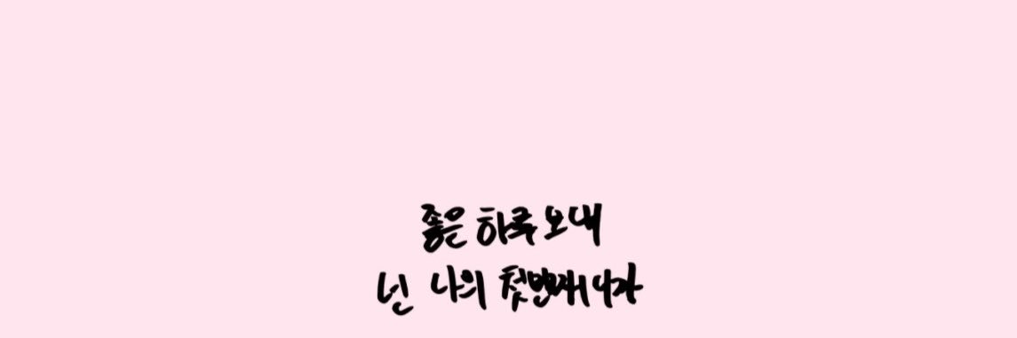 단지ఇ's banner