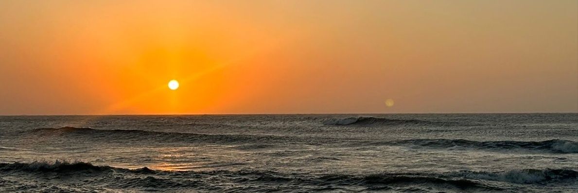 LuLuLuLu🌸's banner