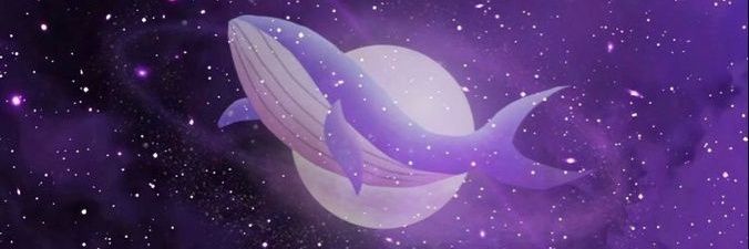 Penny wise's banner