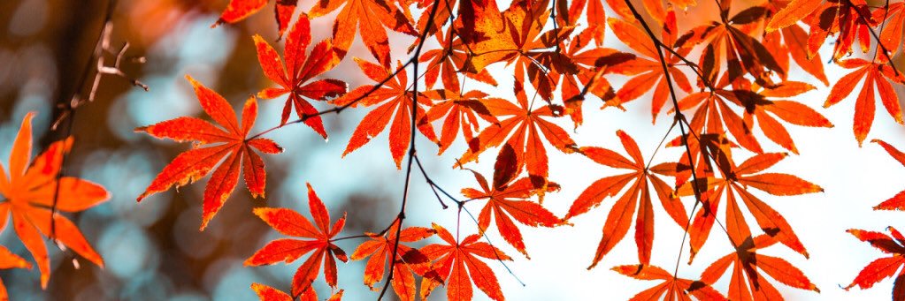 自由自在's banner