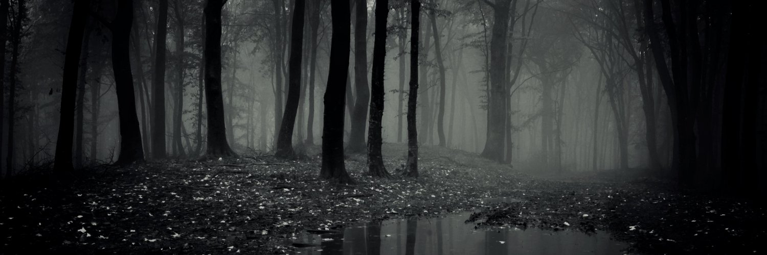 Alaric Moon's banner