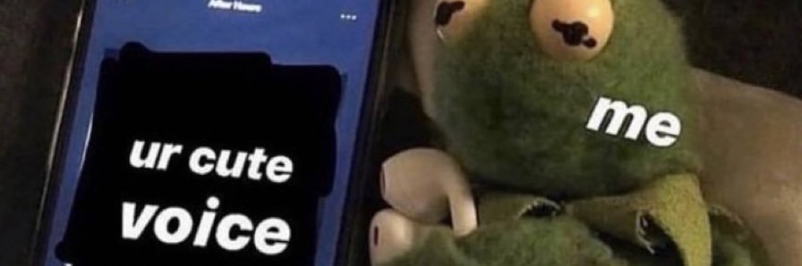 cute and kinky memes's banner