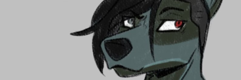 Some Android Roomate's banner