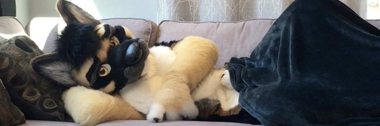 Nitro Sheef 🔞's banner