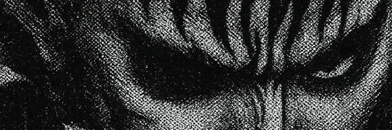 Grim Voyd's banner