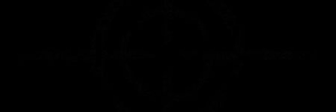 L. 𓋹's banner