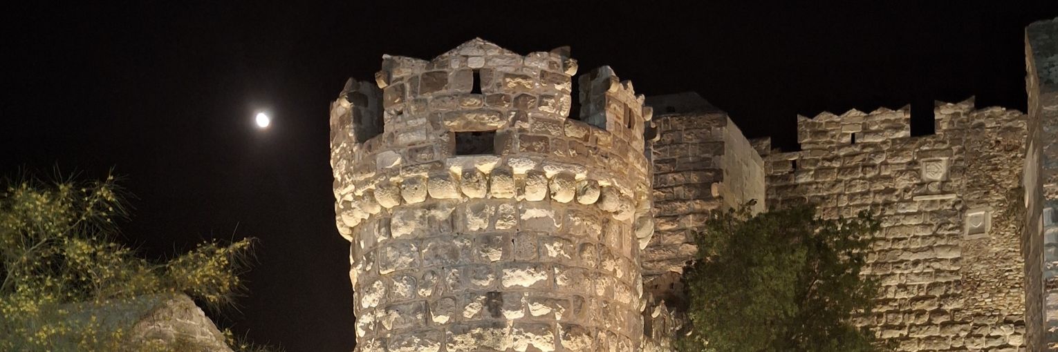 Dr. Aykut Çağlak's banner