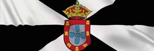 Mario Noya's banner