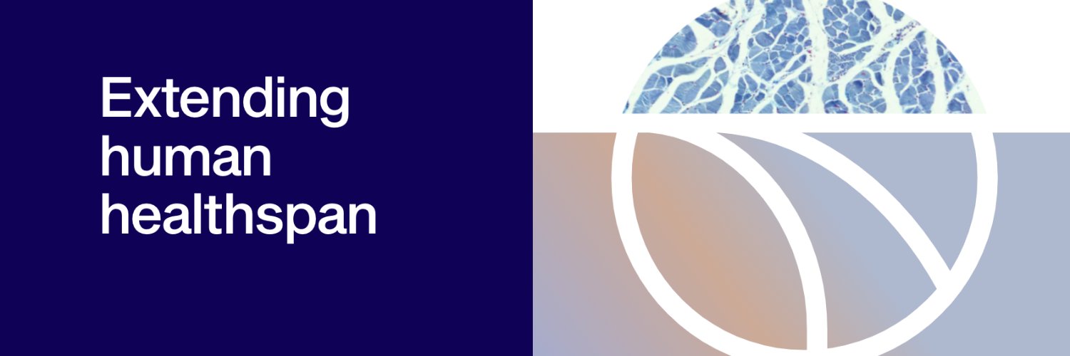 NewLimit's banner