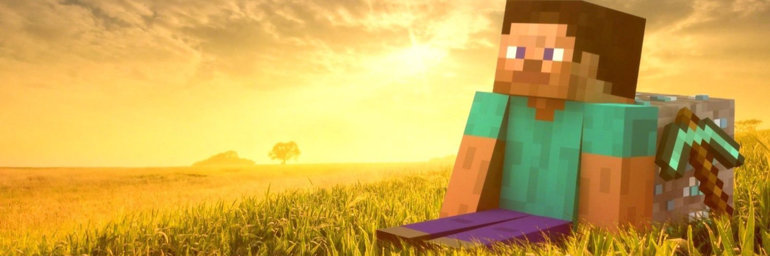 Steve ⛏️'s banner
