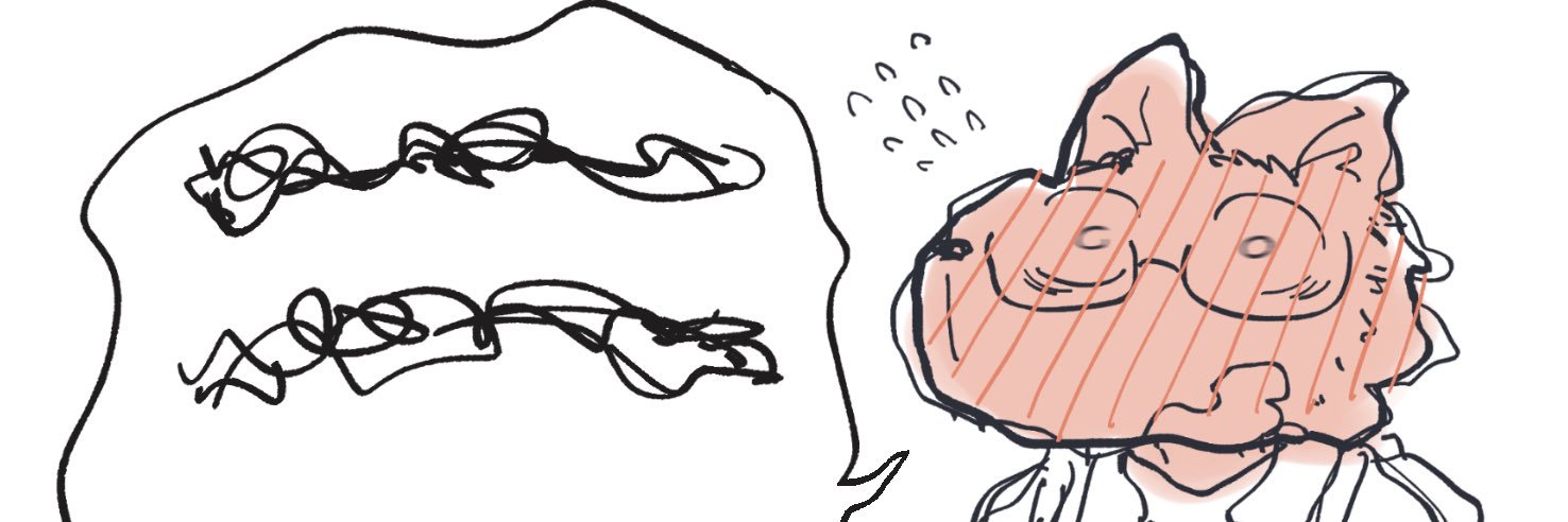 天狼座レイ's banner