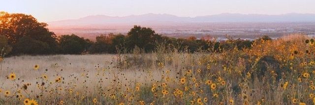 𝒁𝒆𝒆𝒏𝒂's banner