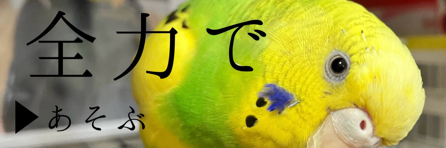かぼすちゃん's banner