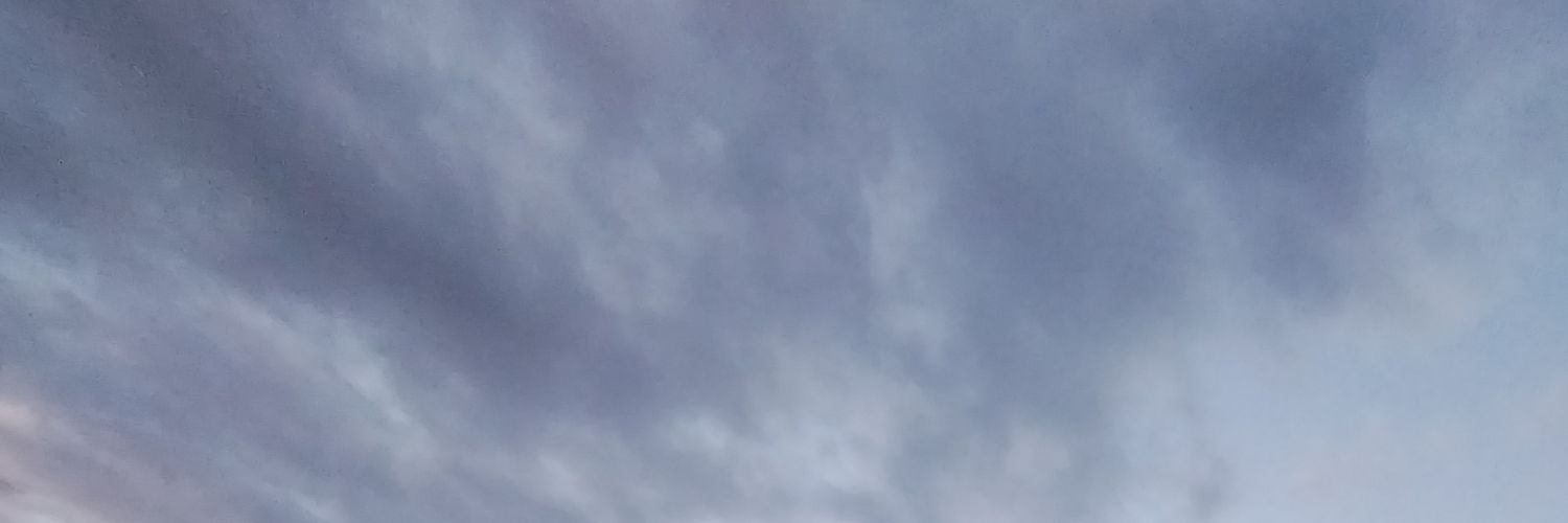 𝑆ℎ𝑢ℎ𝑖𝑛's banner