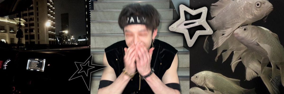 ˙⋆✮ Liv ✮⋆˙'s banner