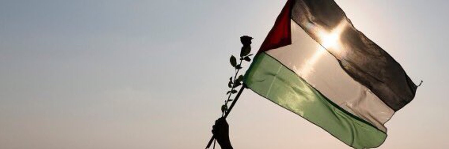Its okay to expect more 🇵🇸🔻's banner