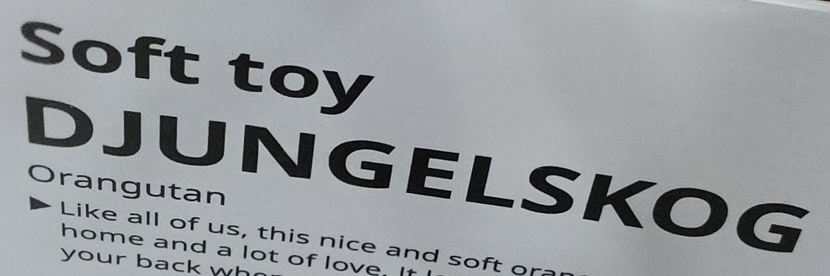 DJ's banner