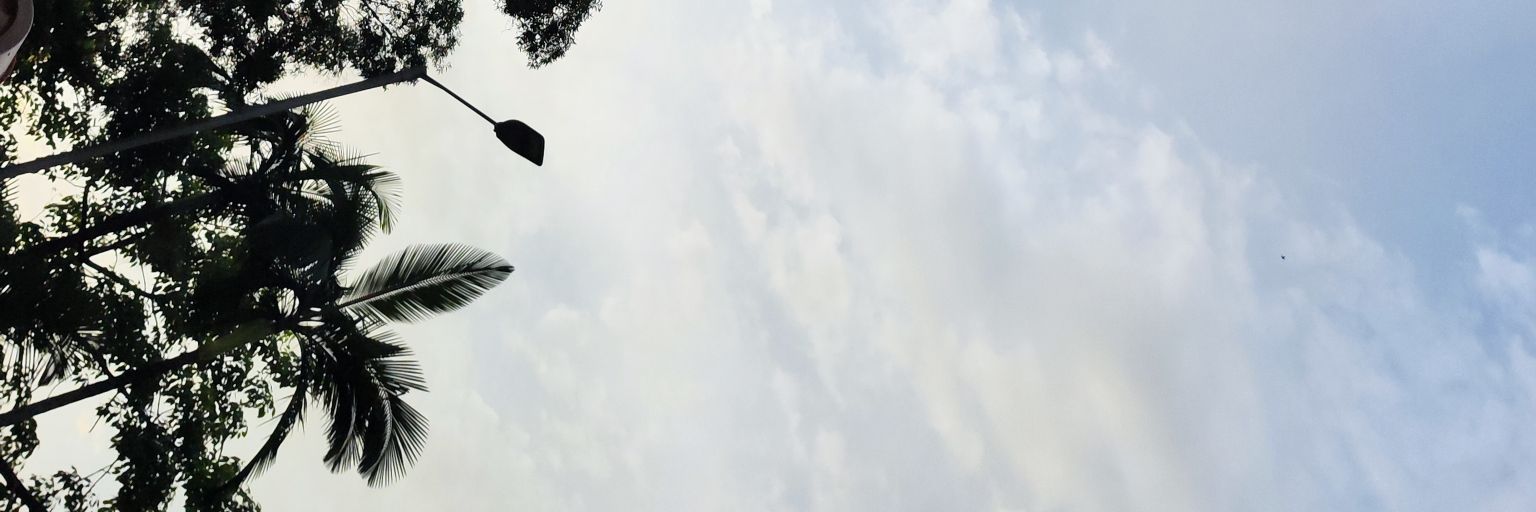 yLove's banner