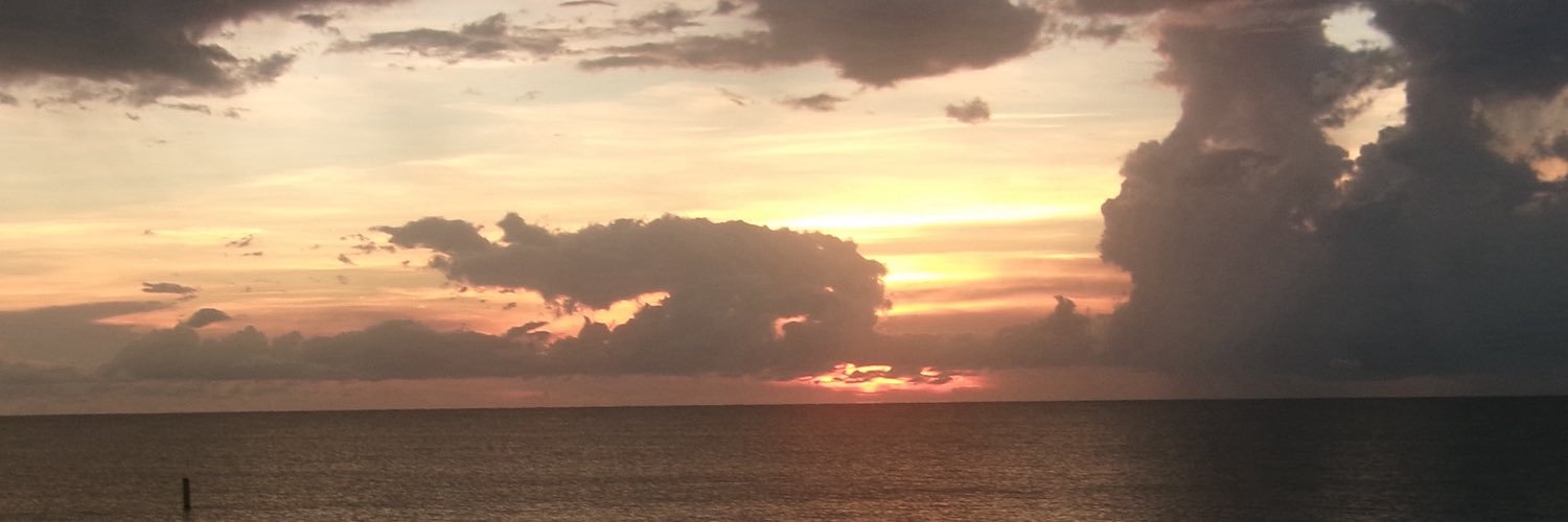 ༄'s banner