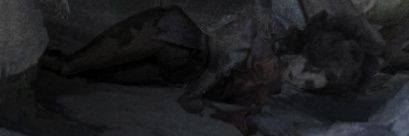 v's banner