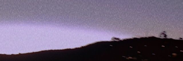 よもとたち's banner