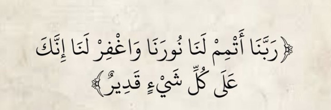 Nour 🤍🦋's banner