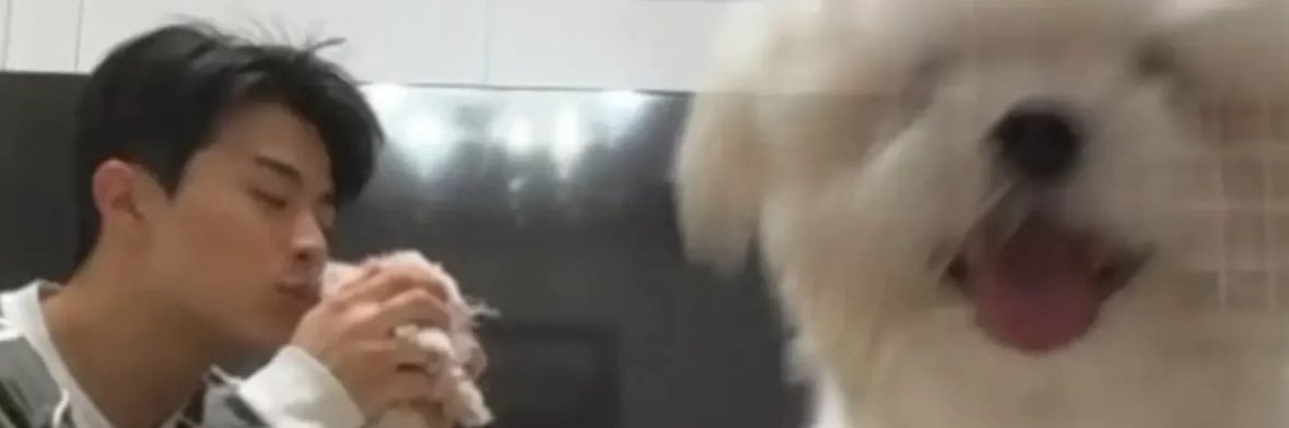 ᝰꪑ's banner
