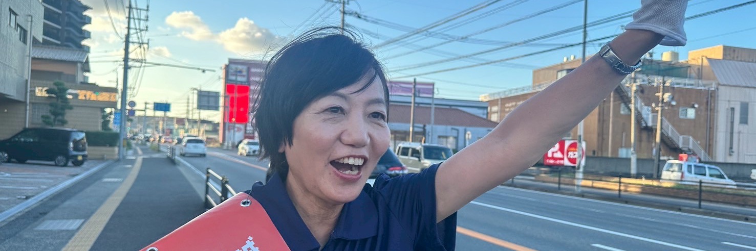 堤かなめ 前衆議院議員's banner