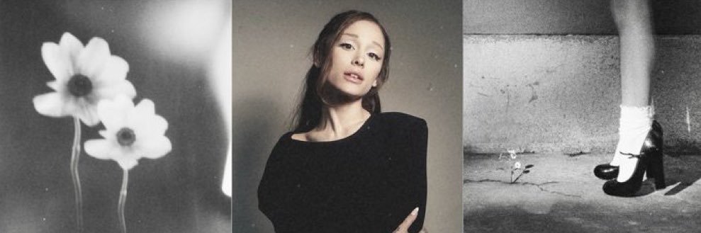 ari asher ✨petal is coming's banner