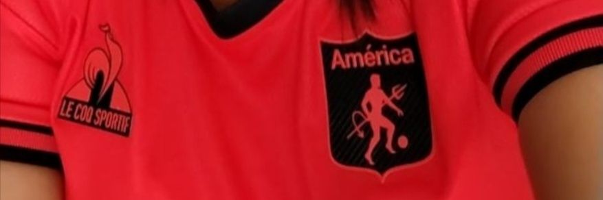 Nora T's banner