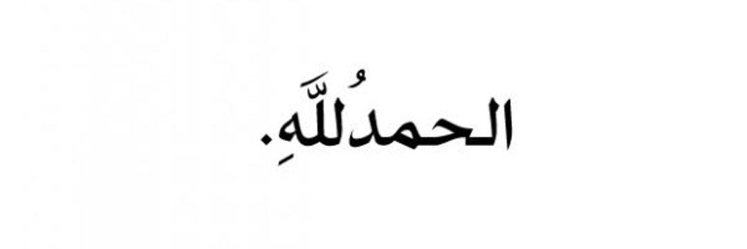 Muhammad Hanzala's banner