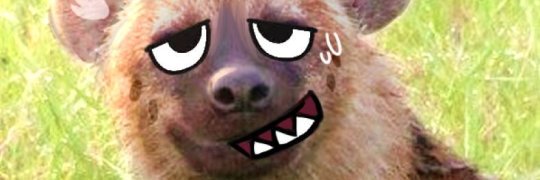 LoneWolfie's banner