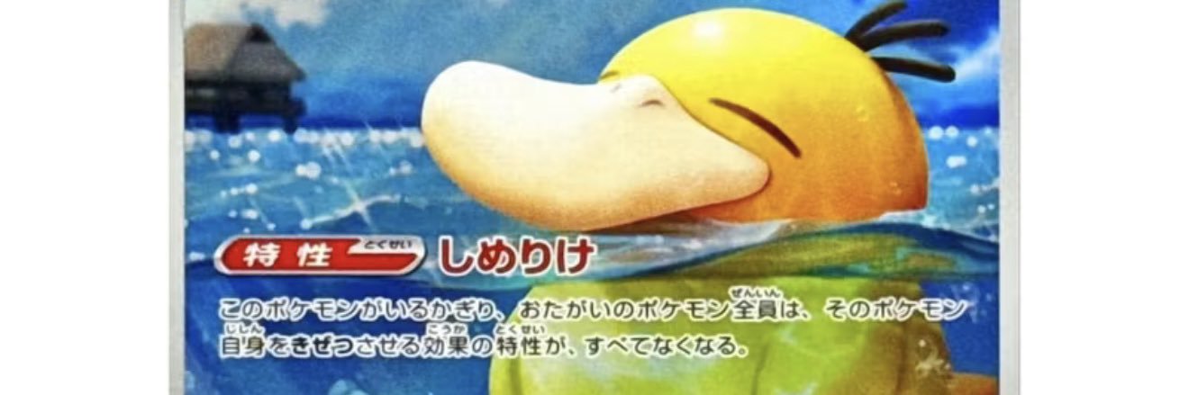 PsyDuck's banner