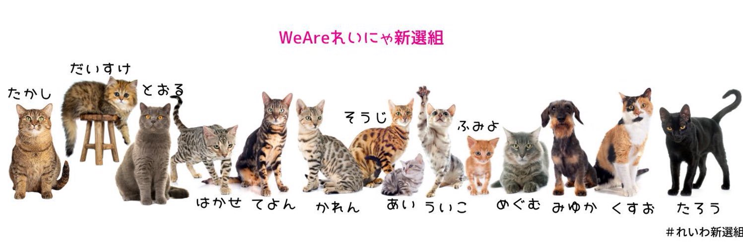 れいわ新選組勝手連🐾 犬猫部🐕🐈's banner