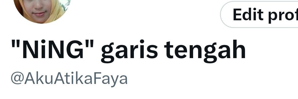 NiNG garis tengah's banner