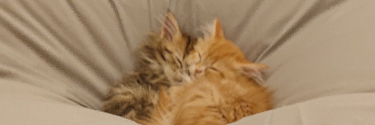 遠藤静代 ＜みらい動物病院＆保護ハウス＞'s banner