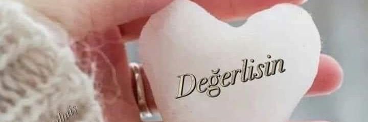 Berguzar01's banner