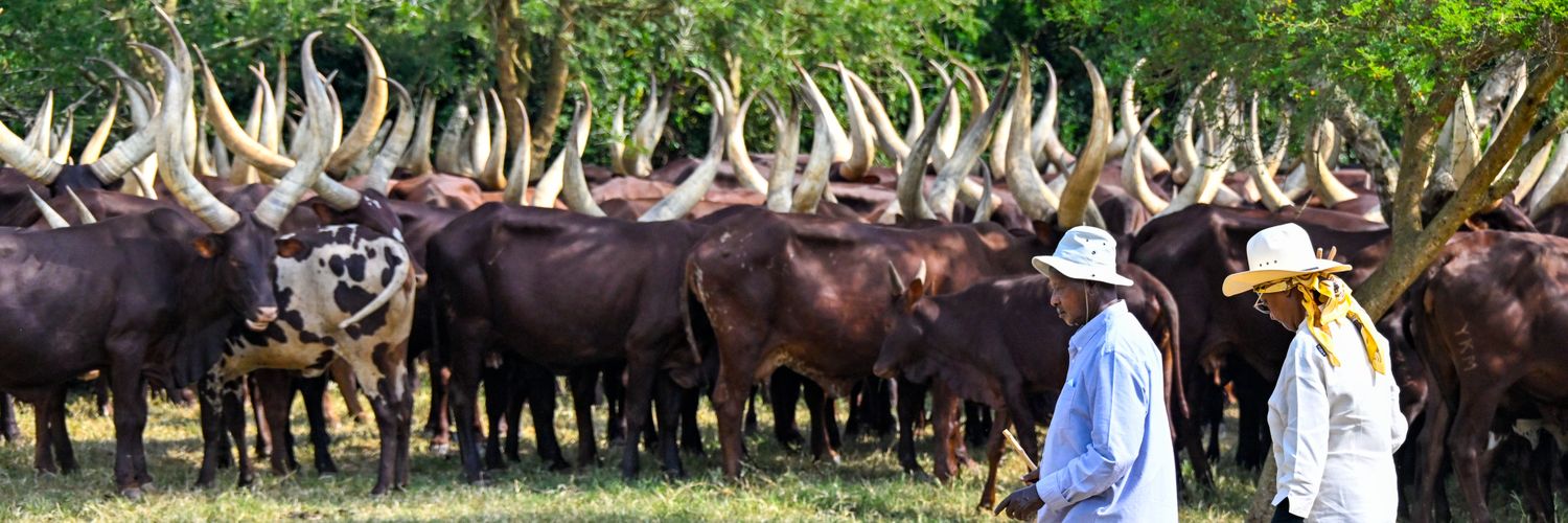 Janet K. Museveni's banner