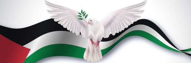 Dalia from Gaza 𓂆🇵🇸🍉's banner