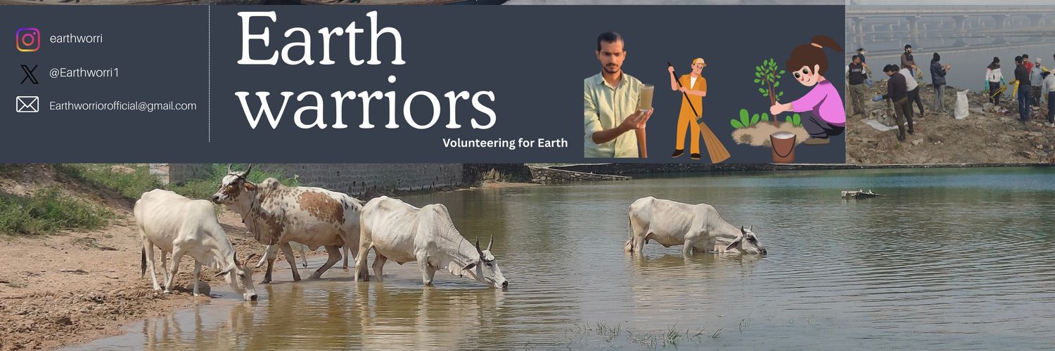 Earth Warrior's banner